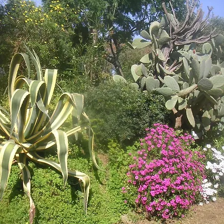 La Ptit'duch Cavalaire-sur-Mer