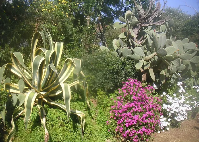 La Ptit'duch 滨海卡瓦莱尔